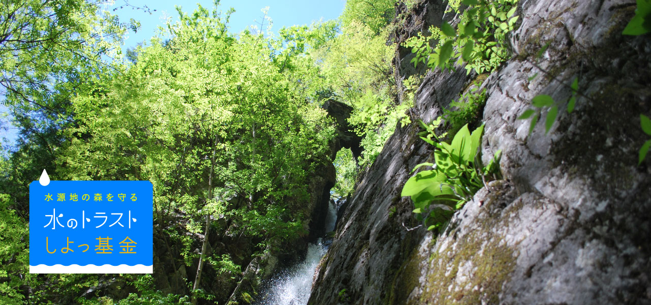 水のトラストイメージ写真